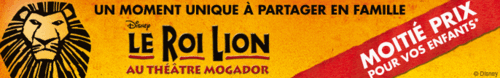 Roi-lion-mogador